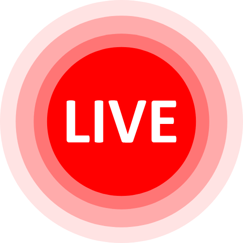 Private Webcam Show